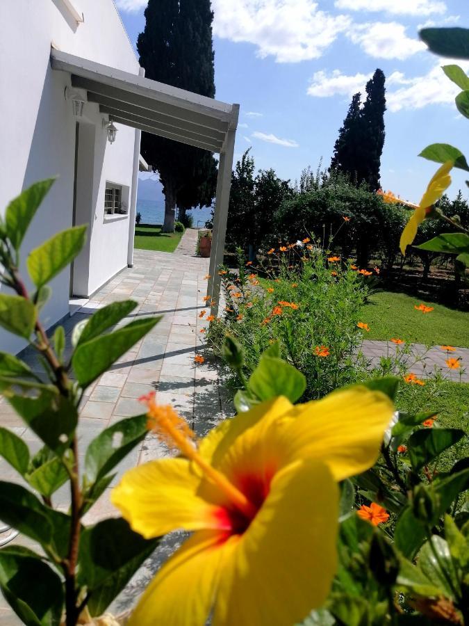 Villa Maria Epidaurus Экстерьер фото